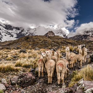 7 Lakes Ausangate 1 Day Tour