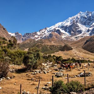 Lake Humantay 1 Day Tour