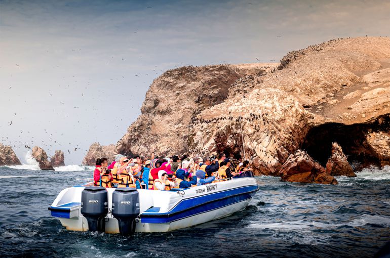 1-Day Paracas and Huacachina